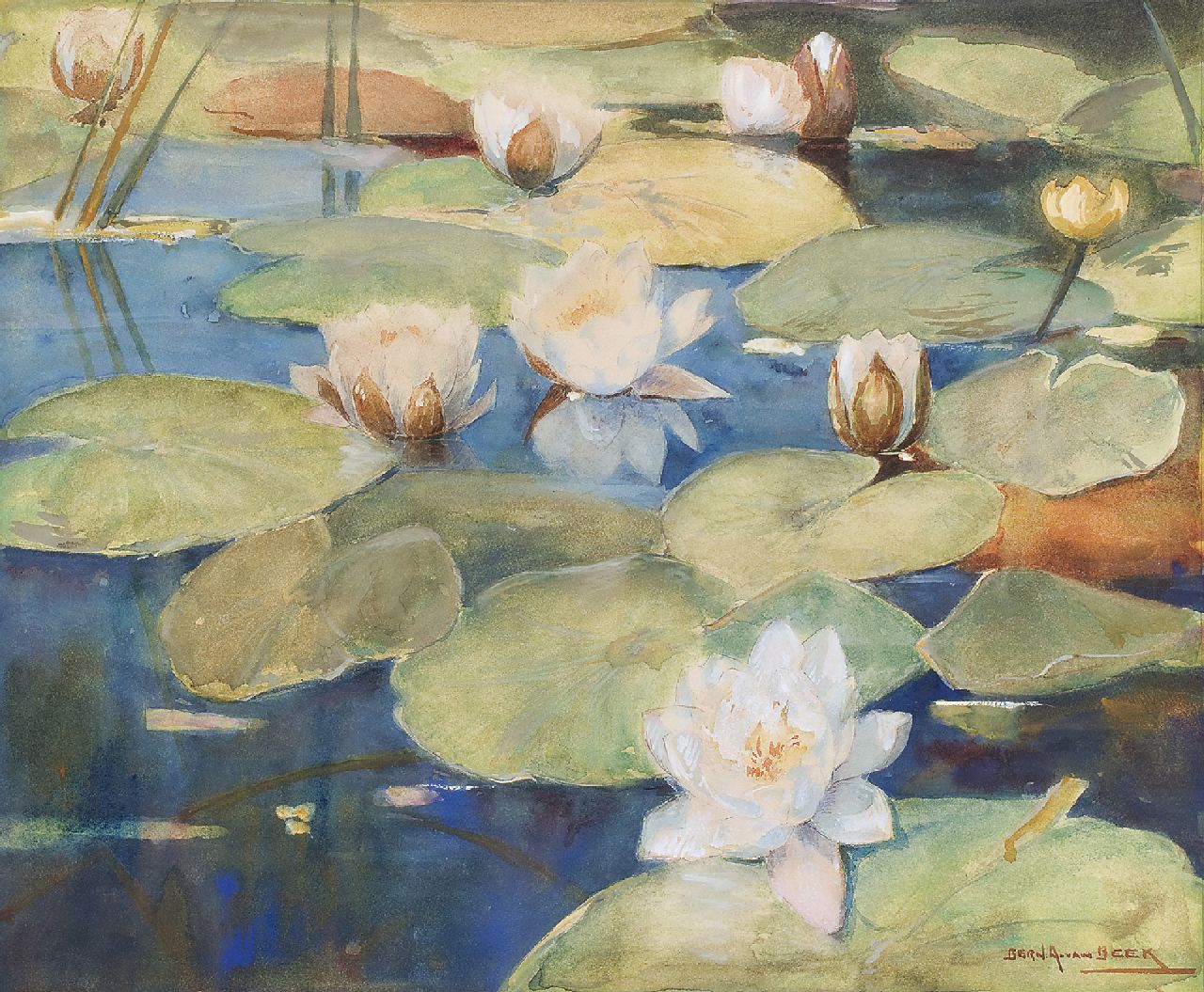 Beek B.A. van | Bernardus Antonie van Beek, Water lilies, watercolour on paper 46.3 x 55.8 cm, signed l.r.