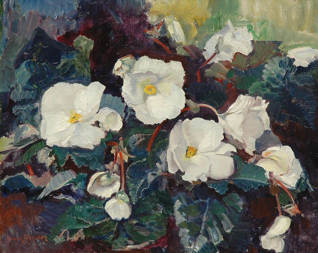 Oerder F.D.  | 'Frans' David Oerder, A white begonia, oil on canvas 40.3 x 50.5 cm, signed l.l.