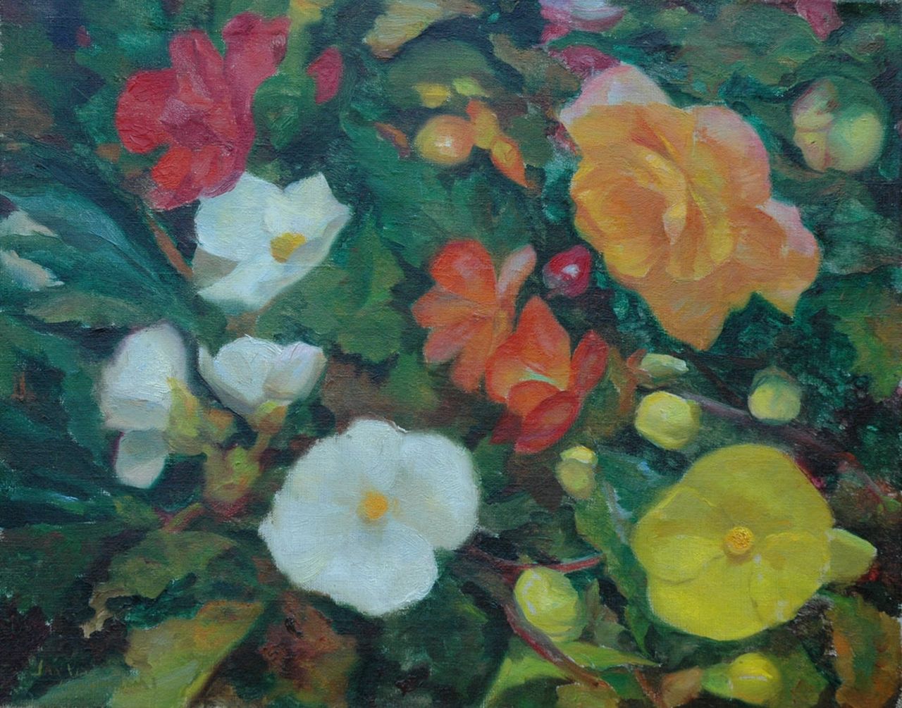 Jan Visser | Begonias, oil on canvas, 40.2 x 50.1 cm, signed l.l.