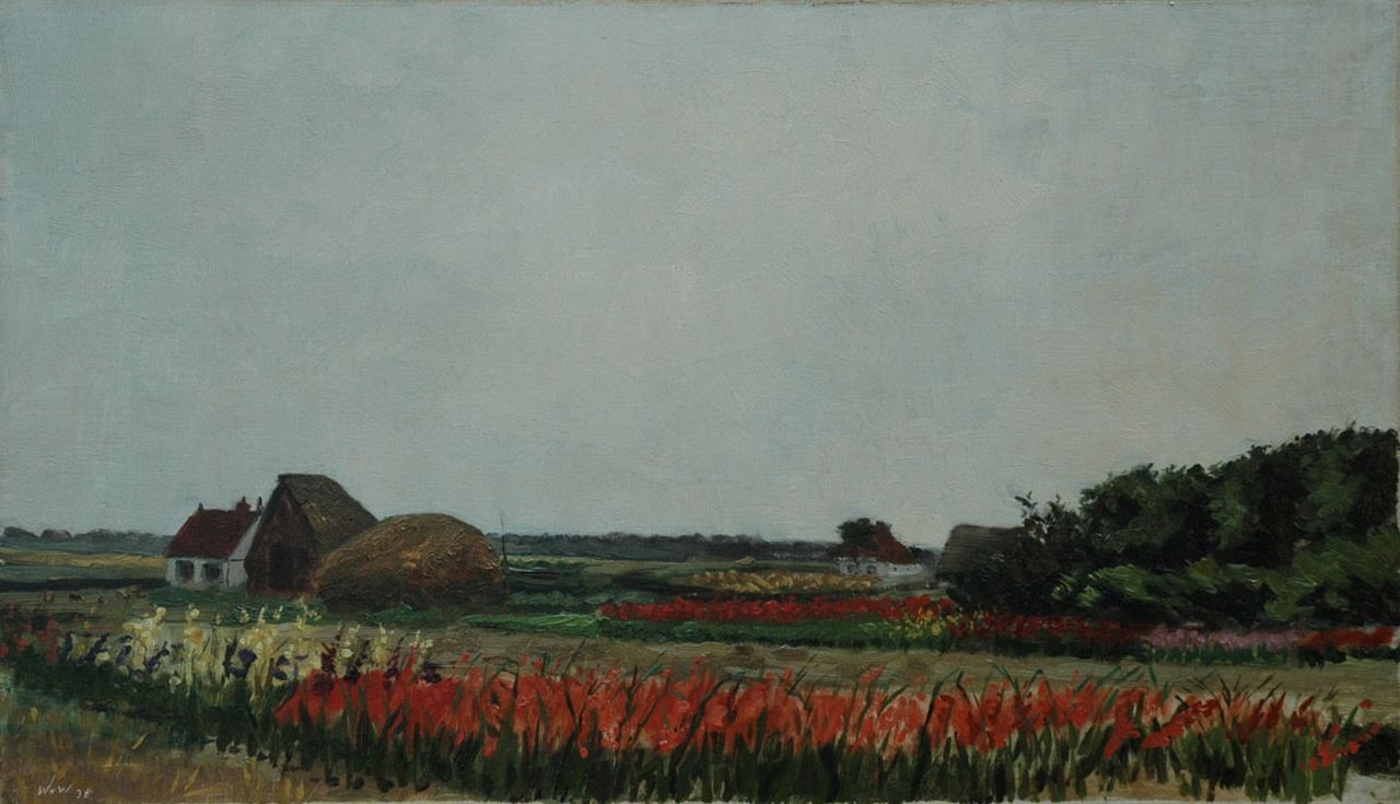 Hollandse School, eerste helft 20e eeuw   | Hollandse School, eerste helft 20e eeuw, Field with gladiolus, oil on canvas 37.3 x 63.3 cm, signed l.l. with initals 'W.v.W.' and dated '38