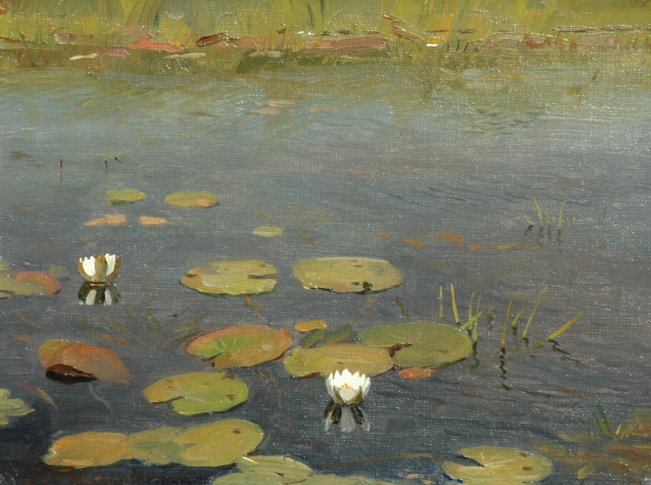 Douwe Mattheus Hoogeveen | Water Lilies, oil on canvas, 24.3 x 33.0 cm, signed l.l.