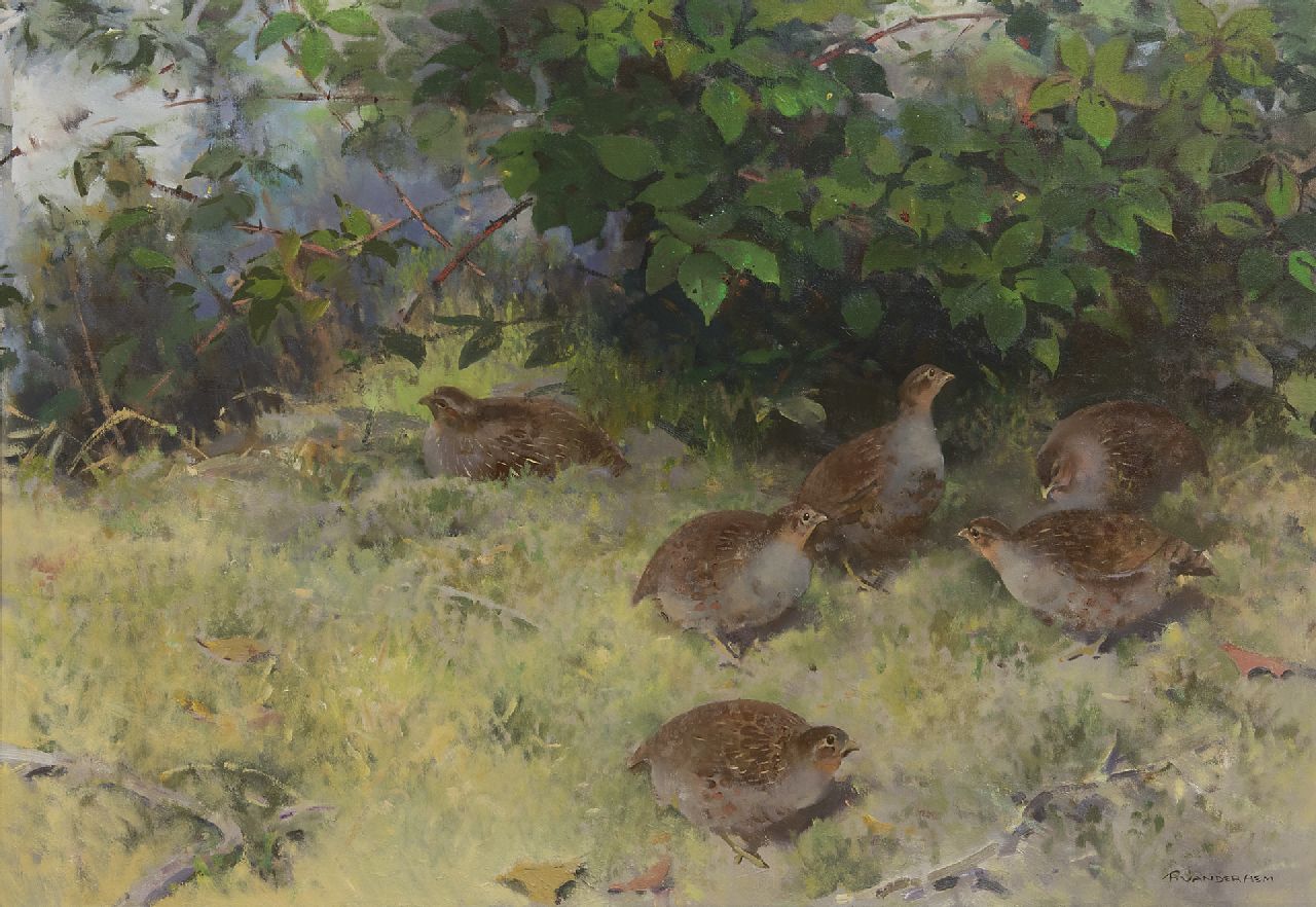 Hem P. van der | Pieter 'Piet' van der Hem, Partridges in the wood, oil on canvas 75.6 x 109.5 cm, signed l.r.