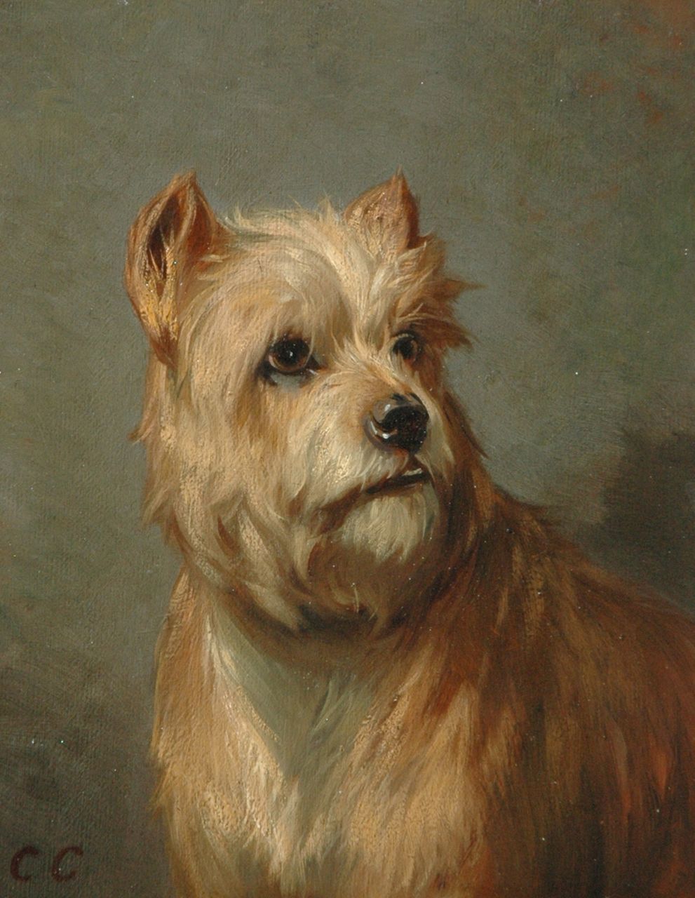 Cunaeus C.  | Conradijn Cunaeus, Portrait of a dog, oil on panel 19.0 x 14.7 cm, signed l.l. with initials