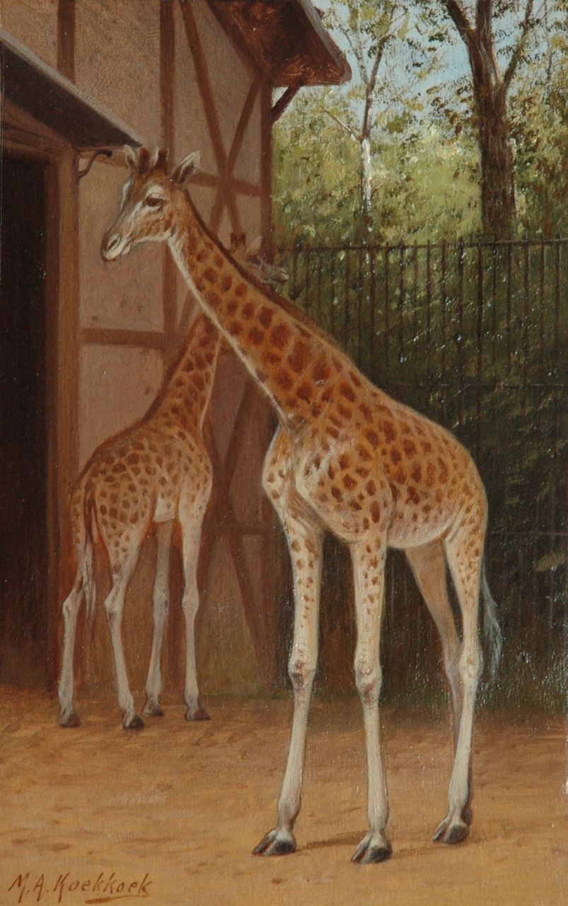 Koekkoek II M.A.  | Marinus Adrianus Koekkoek II, Giraffes in the Amsterdam zoo, oil on paper laid down on board 25.4 x 16.3 cm, signed l.l.