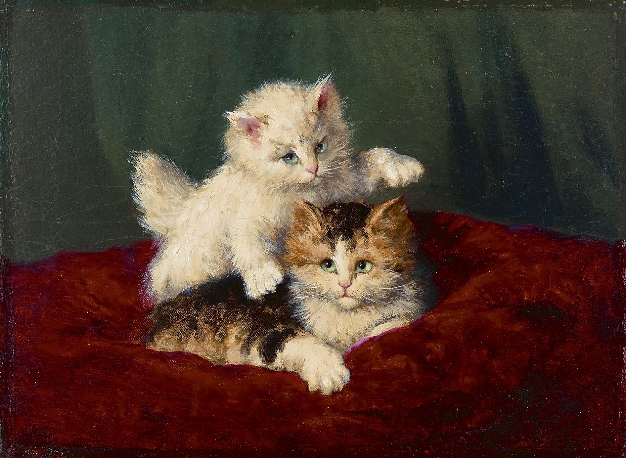 Gindra H.J.  | Hubert Joseph 'Jozef' Gindra, Two kittens playing, oil on canvas 31.2 x 42.3 cm, signed l.r.