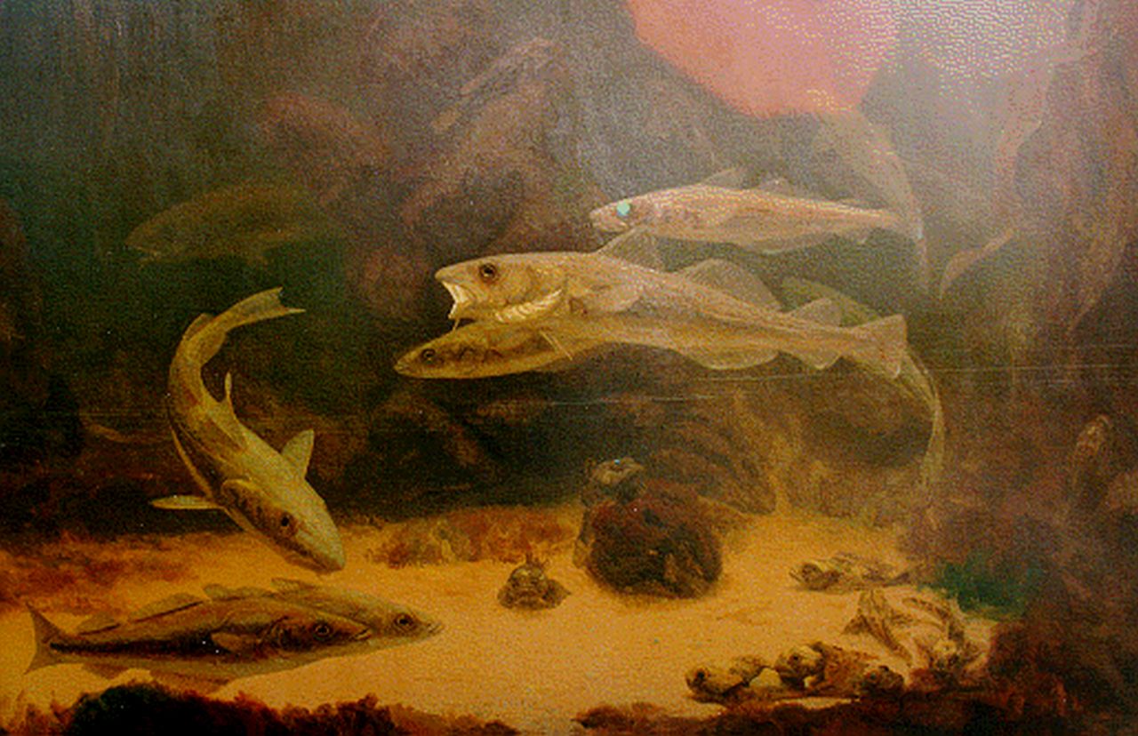 Dijsselhof G.W.  | Gerrit Willem Dijsselhof, Fish in an aquarium, oil on canvas 81.0 x 120.5 cm, signed l.l.