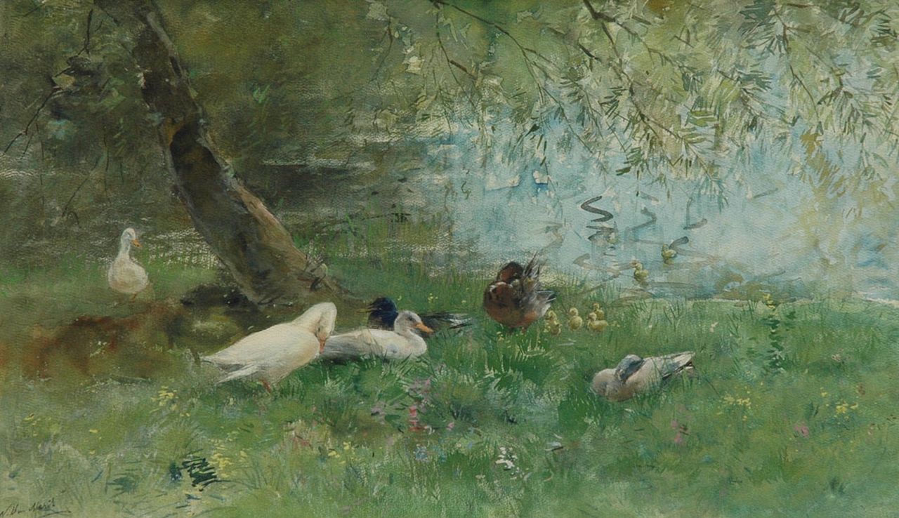 Maris W.  | Willem Maris, Ducks at the waterfront, watercolour on paper 39.0 x 65.5 cm, signed l.l.