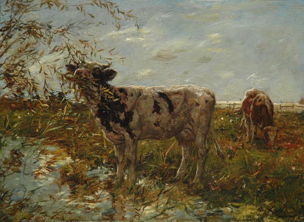Koppenol C.  | Cornelis 'Kees' Koppenol, Cows by a ditch, oil on panel 23.7 x 32.4 cm, signed l.r.