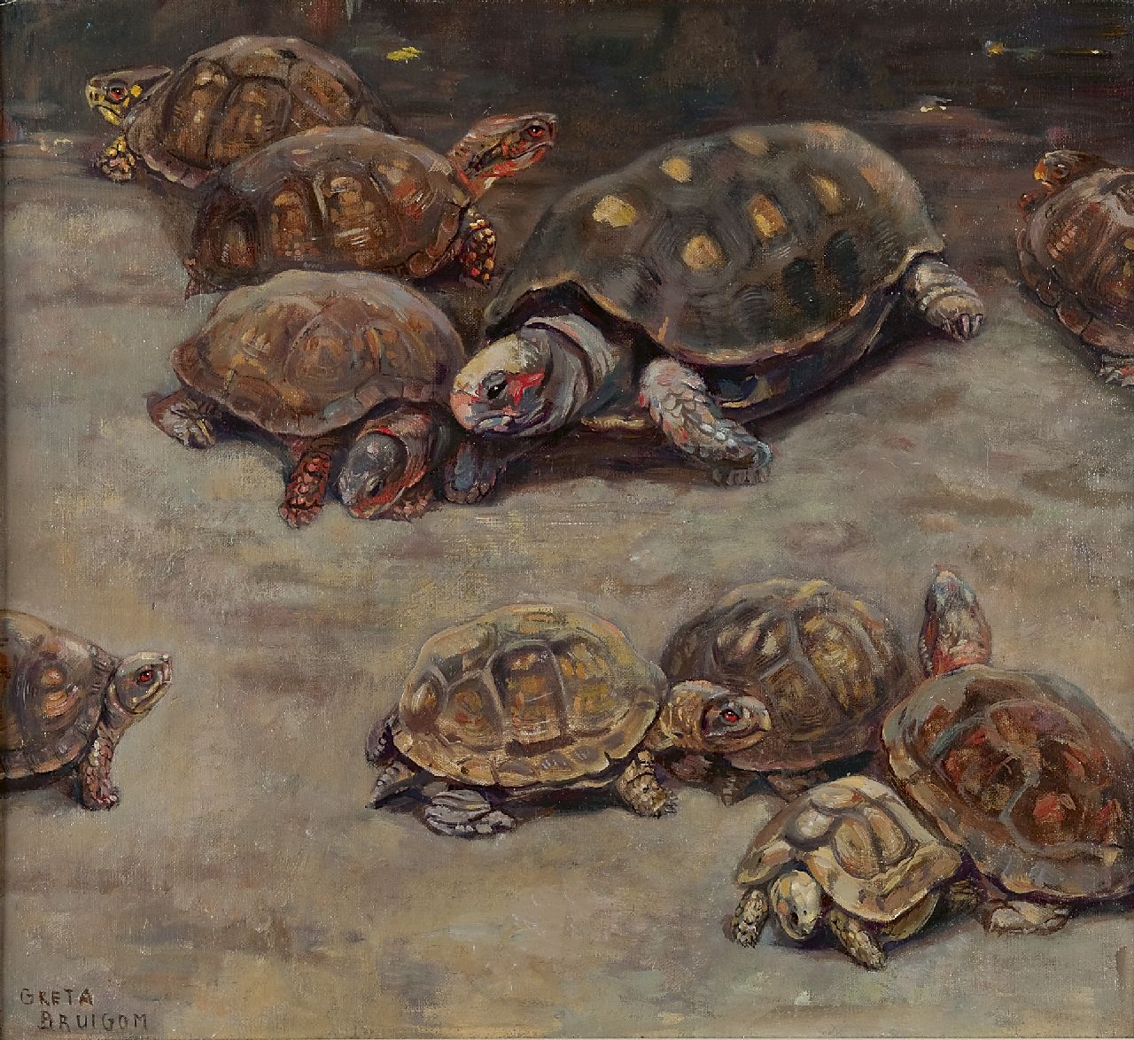 Bruigom M.C.  | Margaretha Cornelia 'Greta' Bruigom, Turtles, oil on canvas 47.7 x 52.5 cm, signed l.l.