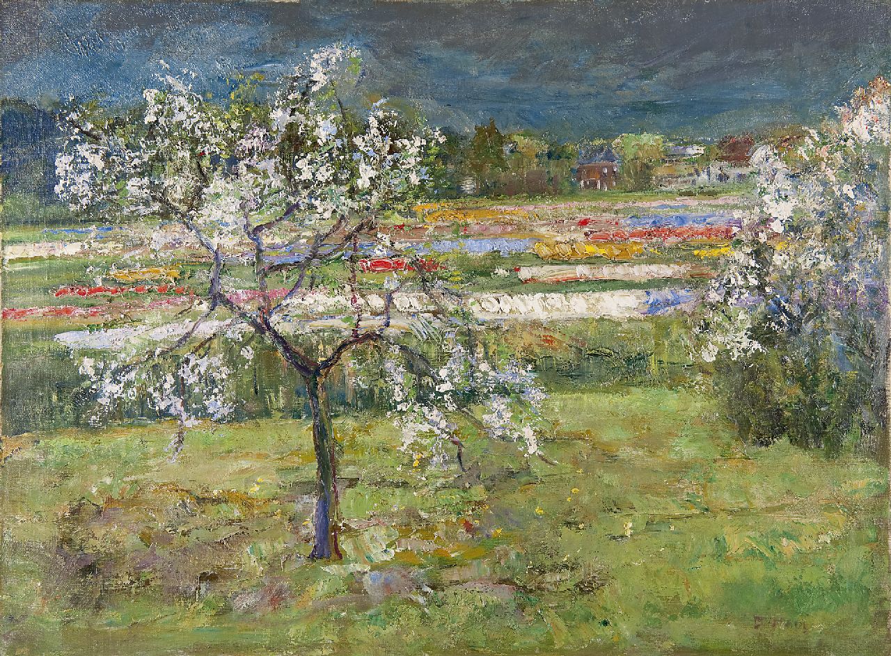 Doeser J.J.  | 'Jacobus' Johannes Doeser, Bulb fields, oil on canvas 60.7 x 80.5 cm, signed l.r.