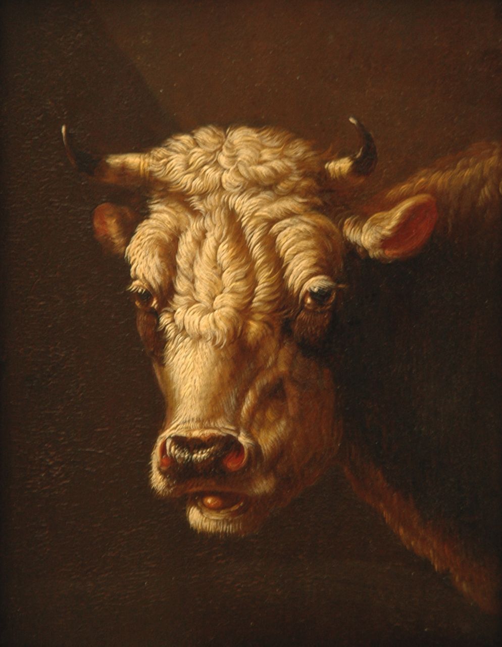 Verhoesen A.  | Albertus Verhoesen, Portrait of a cow, oil on panel 17.5 x 13.1 cm