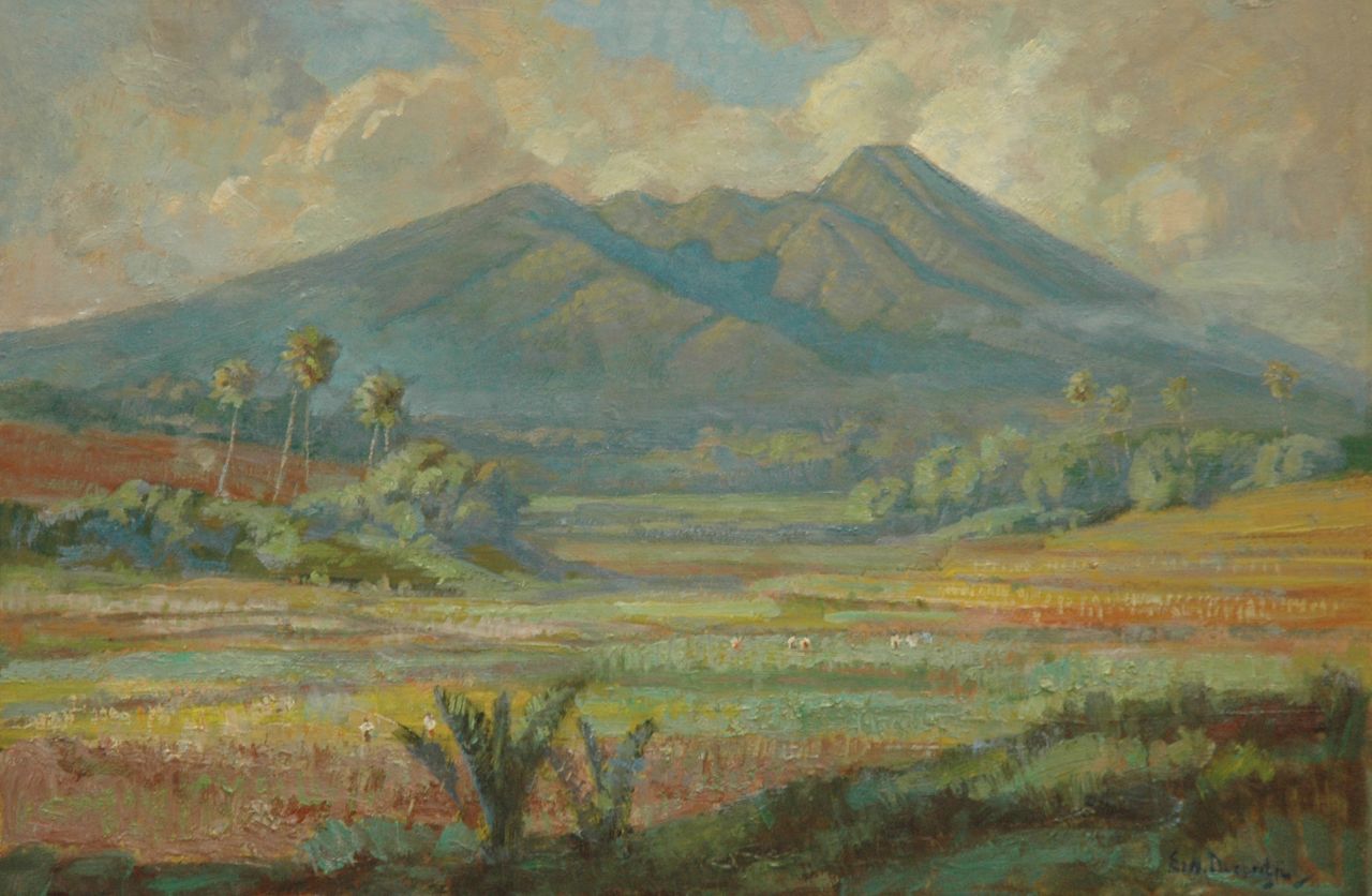 Dezentjé E.  | Ernest Dezentjé, Rice paddies near a vulcano, oil on board 37.6 x 54.4 cm, signed l.r.