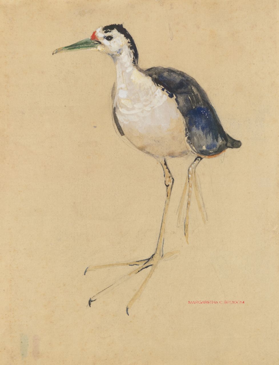 Bruigom M.C.  | Margaretha Cornelia 'Greta' Bruigom, A wader, watercolour and stamping ink on paper 31.3 x 24.6 cm, signed l.r. with the artists stamp