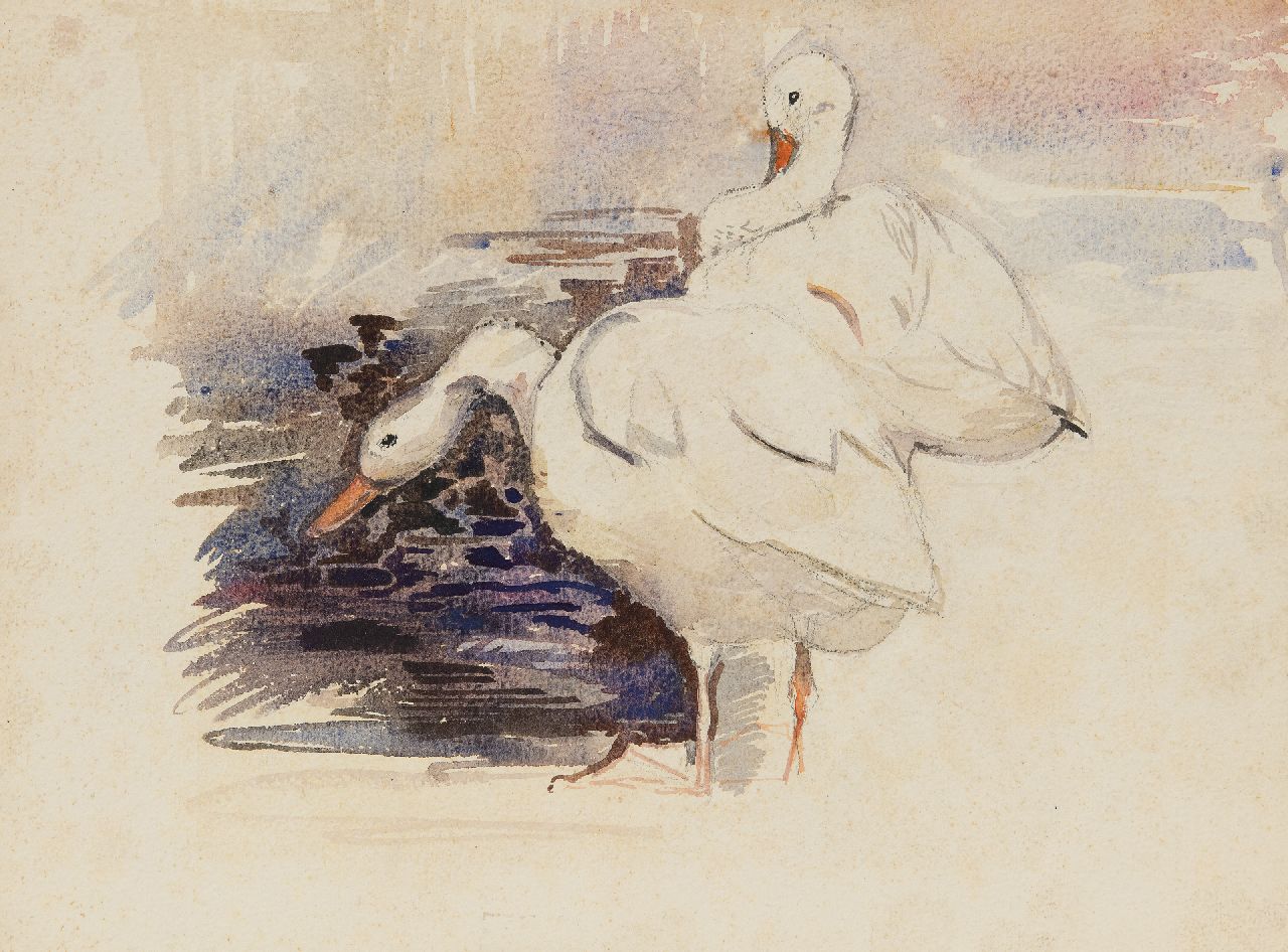Bruigom M.C.  | Margaretha Cornelia 'Greta' Bruigom | Watercolours and drawings offered for sale | A pair of swans, watercolour on paper 26.0 x 35.0 cm