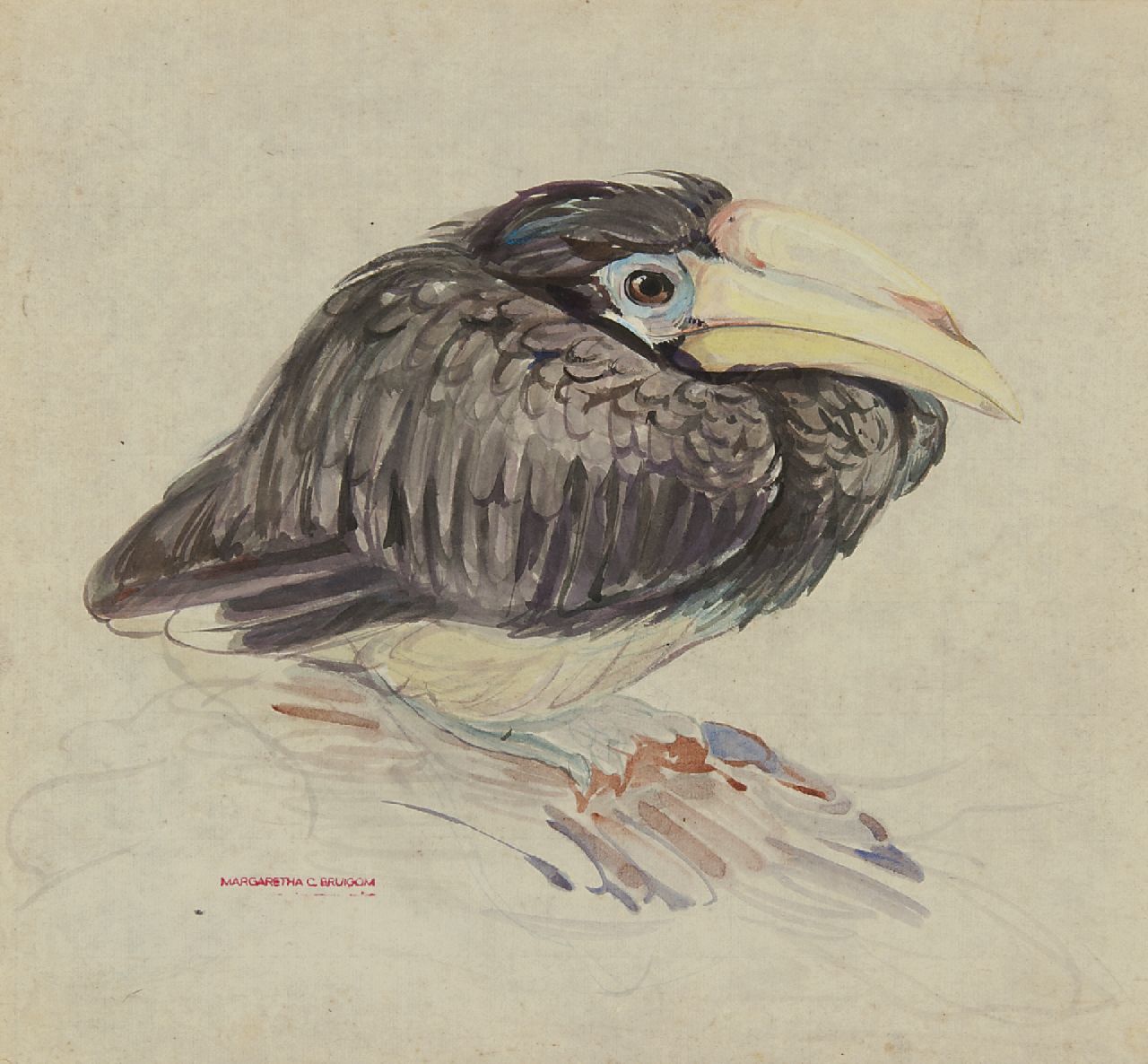 Bruigom M.C.  | Margaretha Cornelia 'Greta' Bruigom, A young hornbill, watercolour on paper 32.4 x 35.5 cm, signed l.l. with the artist's stamp