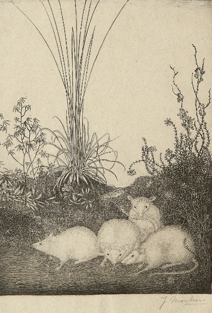 Mankes J.  | Jan Mankes, Four mice, etching on paper 19.5 x 14.5 cm, signed l.r. (in pencil) and executed in 1916