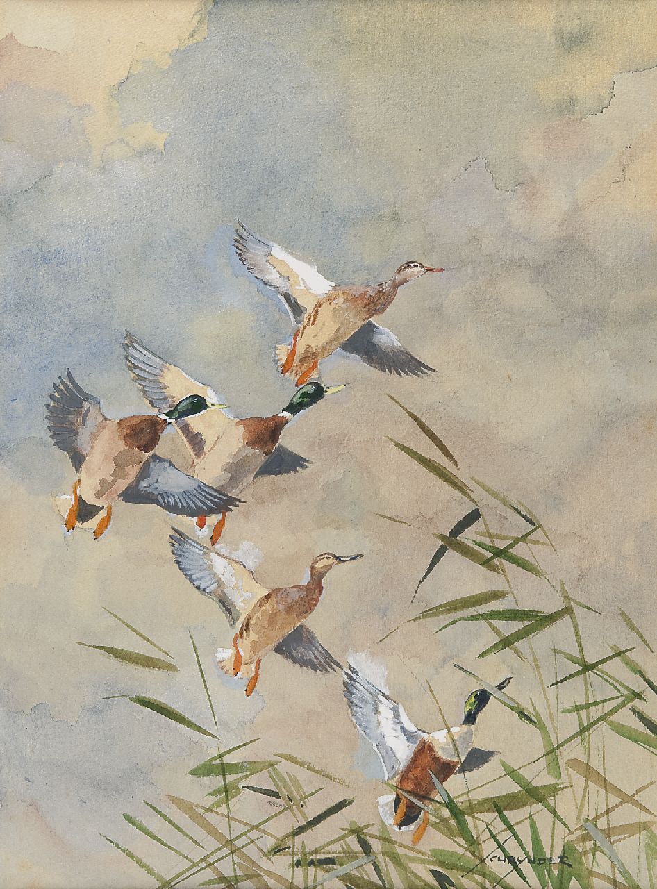 Schrijnder J.A.  | Josephus Alphonus 'Jo' Schrijnder, Ducks flying up, watercolour on paper 36.0 x 27.2 cm, signed l.r.