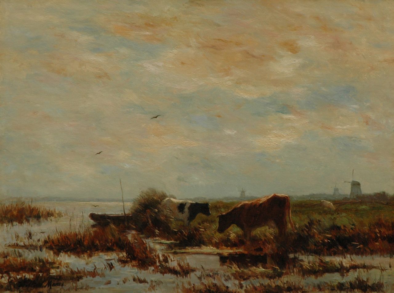 Maris W.  | Willem Maris, Grazing cows, oil on canvas 61.0 x 80.9 cm, signed l.l.
