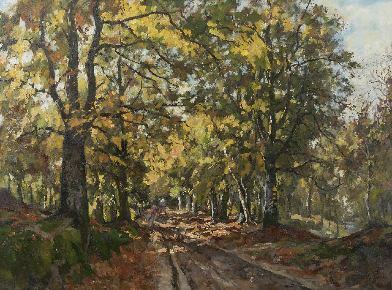 Vuuren J. van | Jan van Vuuren, In the Leuvenum forest, oil on canvas 75.5 x 100.5 cm, signed l.r.