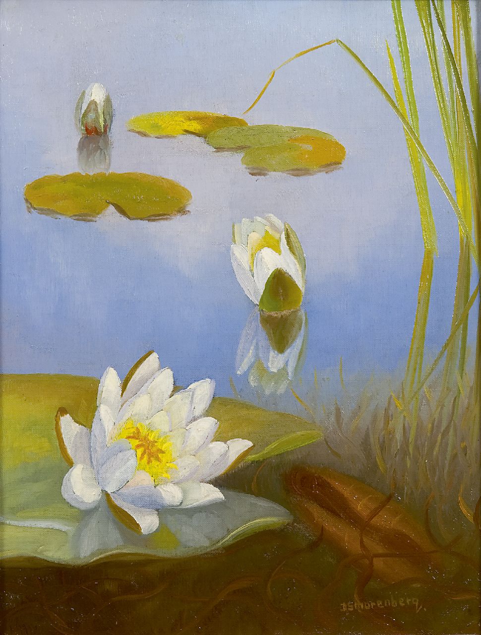 Smorenberg D.  | Dirk Smorenberg, Waterlilies, oil on canvas 32.2 x 25.2 cm, signed l.r.