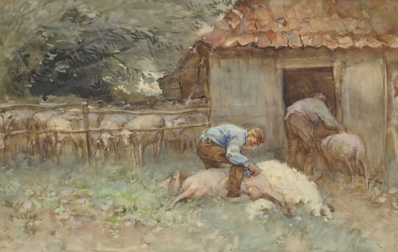Nat W.H. van der | 'Willem' Hendrik van der Nat, Shearing sheep, watercolour on paper 34.4 x 52.6 cm, signed l.l.