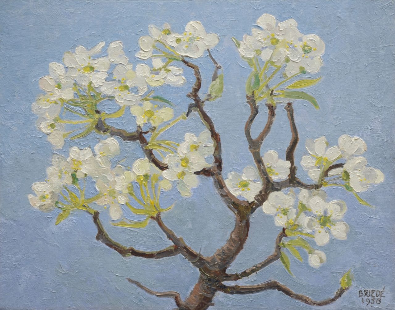 Briedé J.  | Johan Briedé, Pearblossom, oil on board 25.1 x 31.8 cm, signed l.r. and dated 1958