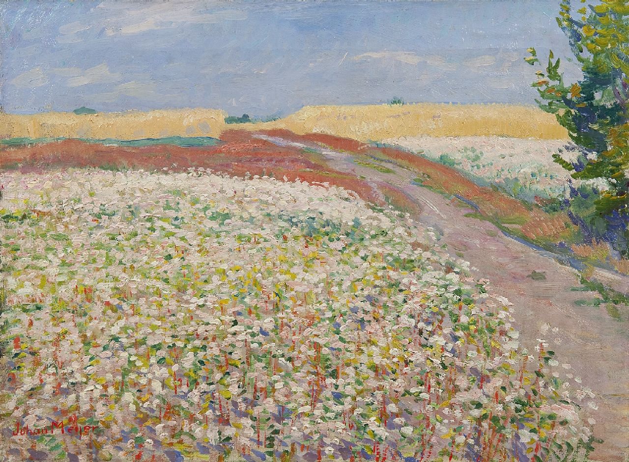 Meijer J.  | Johannes 'Johan' Meijer, Buckwheat field near Blaricum, oil on canvas 28.2 x 38.4 cm, signed l.l.