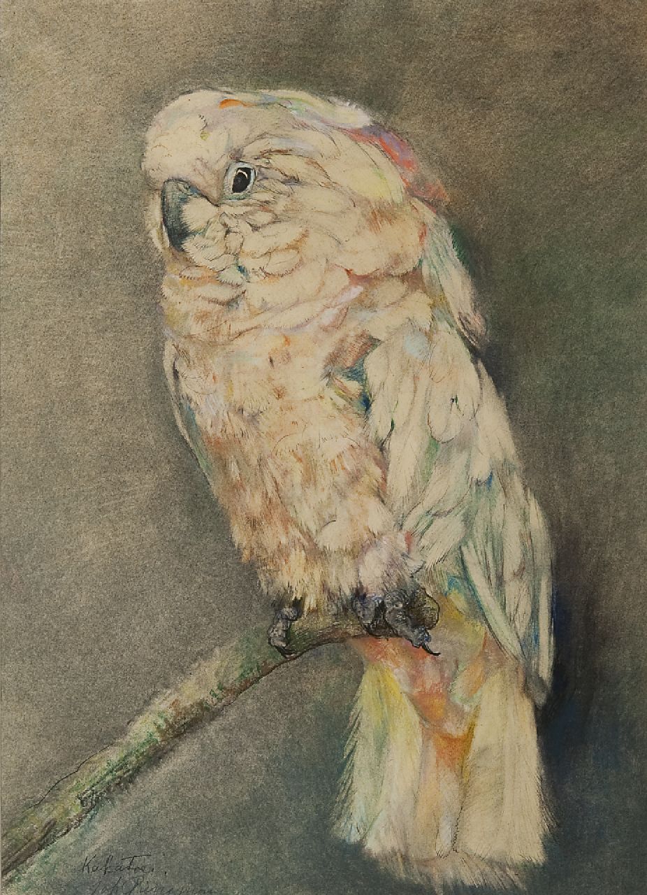 Pieneman J.H.  | 'Johanna' Hendrika Pieneman, Cockatoo, pastel on paper 47.2 x 34.3 cm, signed l.l.