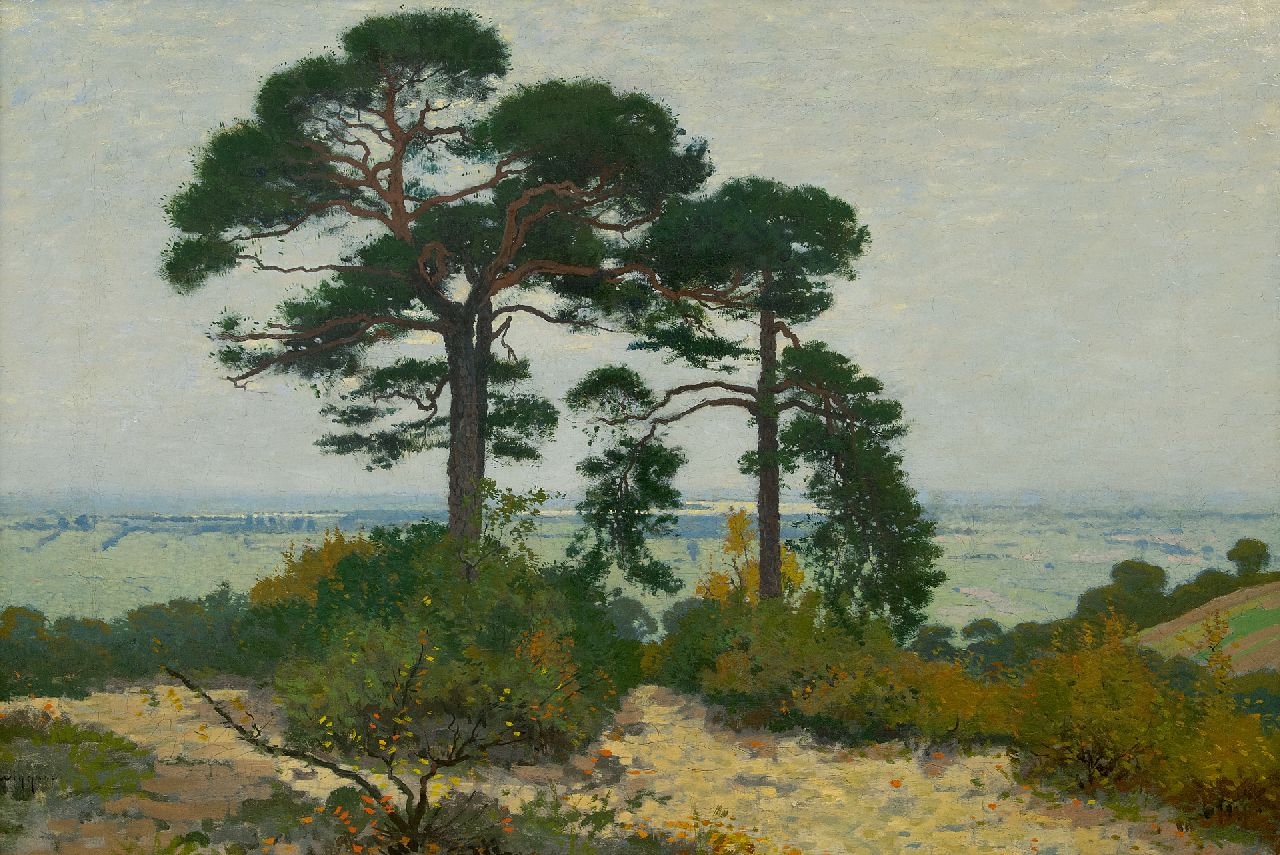 Wiggers D.  | Dirk 'Derk' Wiggers, A view of the Ooijpolder with pinetrees, oil on canvas 51.3 x 73.3 cm, signed l.l