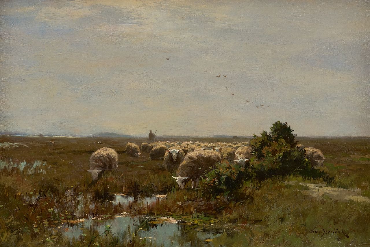 Steelink jr. W.  | Willem Steelink jr. | Paintings offered for sale | Grazing sheep on the heathland, oil on canvas 33.1 x 48.0 cm, signed l.r. and without frame