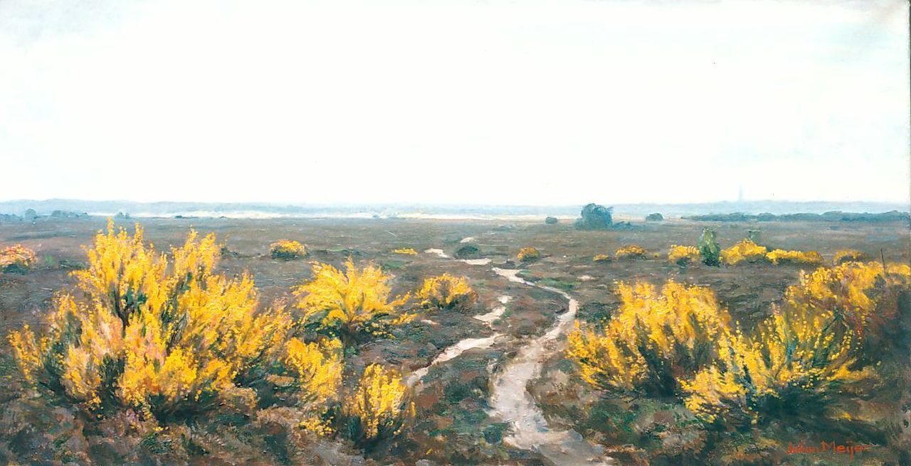 Meijer J.  | Johannes 'Johan' Meijer, A heath landscape, oil on canvas 44.0 x 84.0 cm