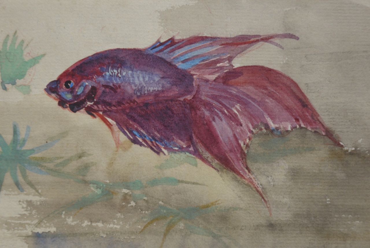 Bruigom M.C.  | Margaretha Cornelia 'Greta' Bruigom, Fish, watercolour on paper 8.6 x 12.7 cm