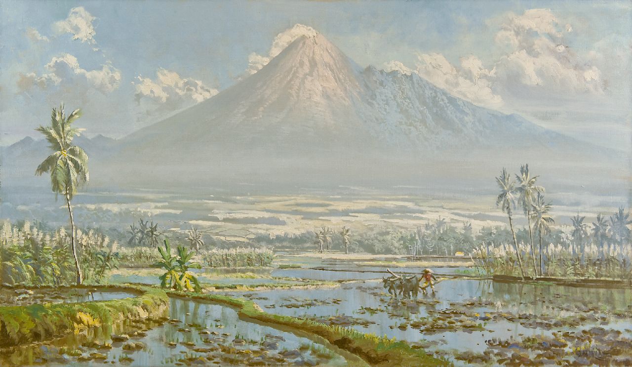 Abdullah R.B.  | Raden Basoeki Abdullah, A Javanese farmer ploughing, with the Merapi in the distance, oil on canvas 75.0 x 130.0 cm, signed l.r.