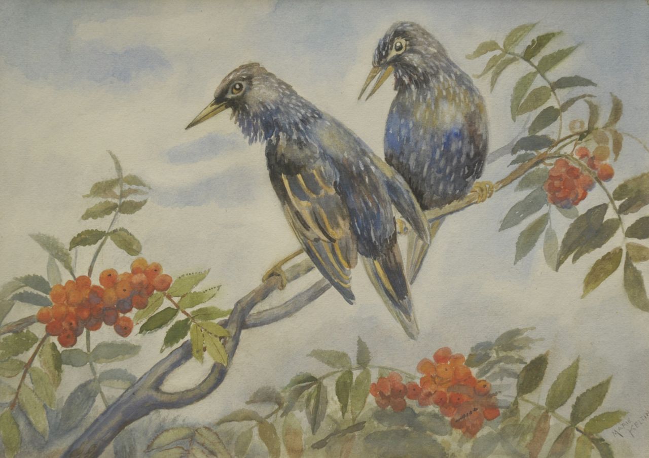 Kelting M.  | Maria 'Marie' Kelting, Two birds on a branch, watercolour on paper laid down on cardboard 25.5 x 35.9 cm, signed l.r.