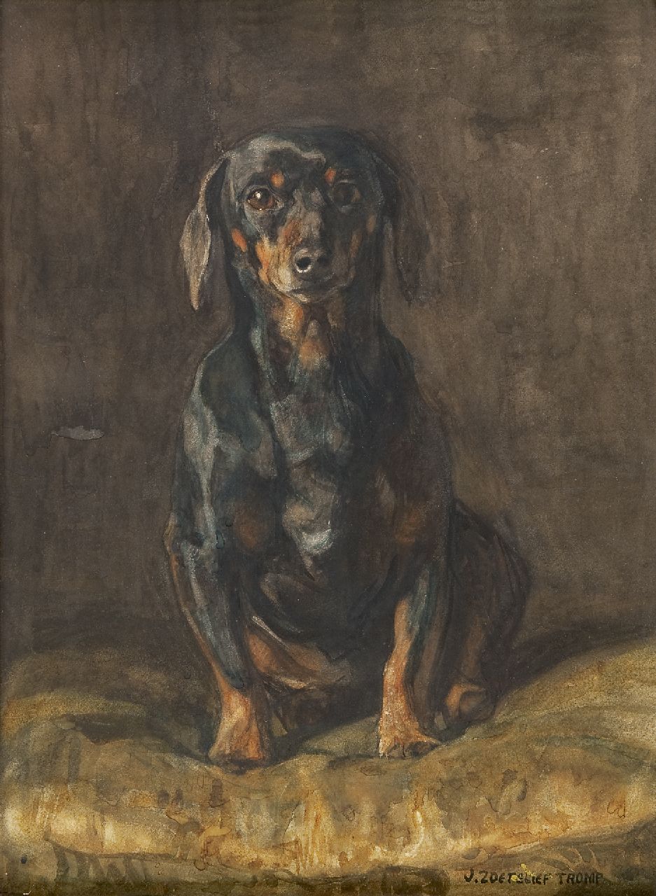 Zoetelief Tromp J.  | Johannes 'Jan' Zoetelief Tromp, Dachshund, watercolour on paper 52.5 x 38.5 cm, signed l.r.