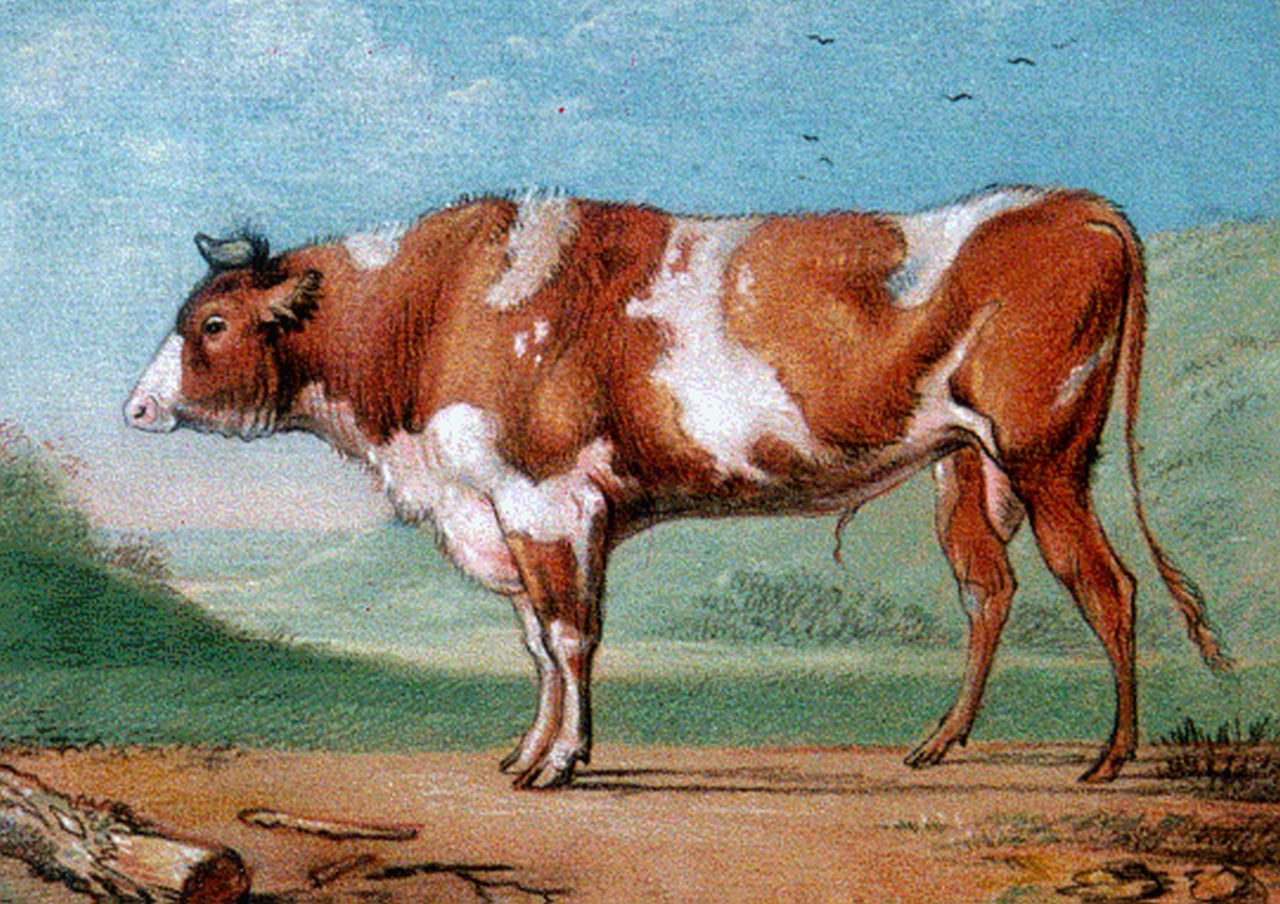 Verboeckhoven E.J.  | Eugène Joseph Verboeckhoven, A red-and-white bull, pastel on paper 13.4 x 18.6 cm, signed l.l. with monogram and dated 1817