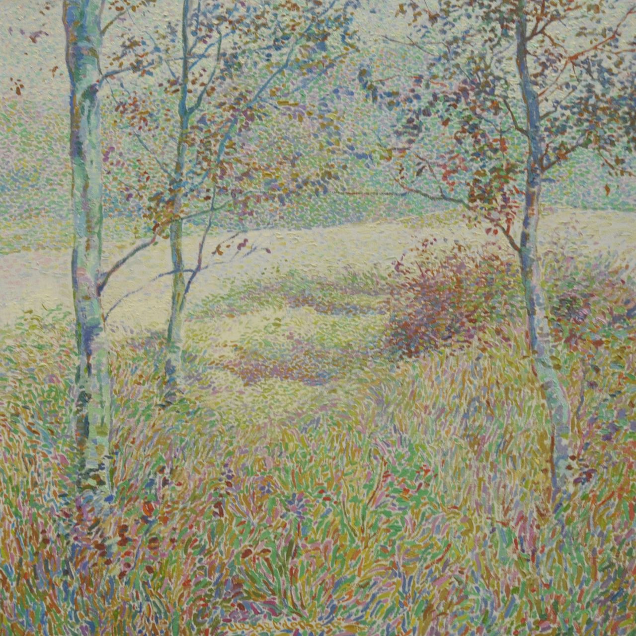 Boer H. de | Hessel de Boer | Paintings offered for sale | Birches, oil on canvas 69.0 x 69.0 cm, signed l.c.