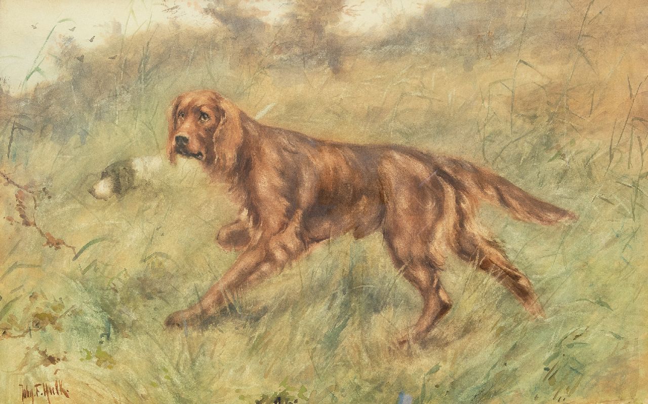 Hulk jr. J.F.  | Johannes Frederik 'John' Hulk jr., Irish Setter, watercolour on paper 40.0 x 63.5 cm, signed l.l.