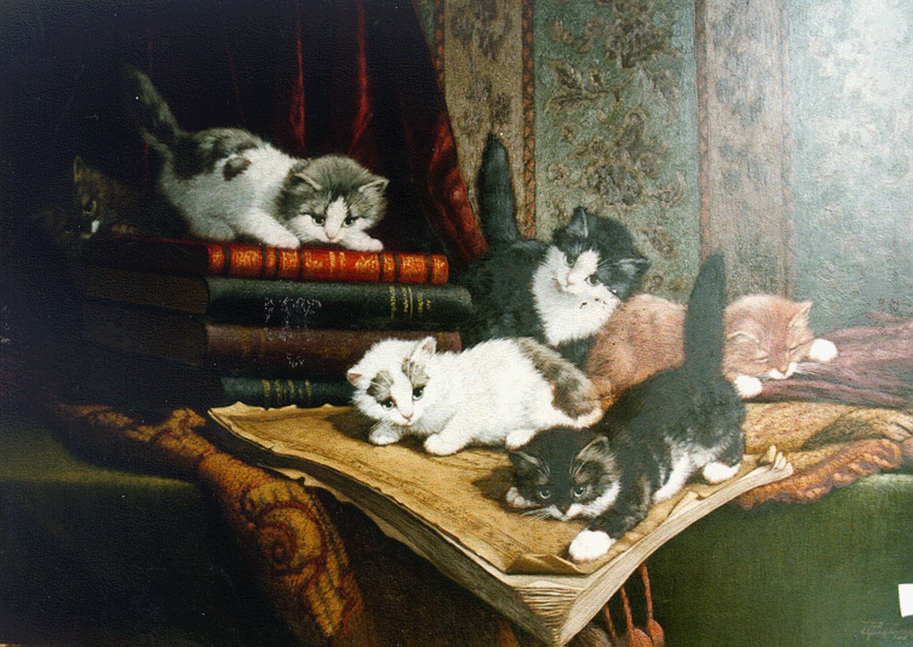 Raaphorst C.  | Cornelis Raaphorst, Six kittens playing, oil on canvas 50.0 x 70.0 cm, signed l.r.