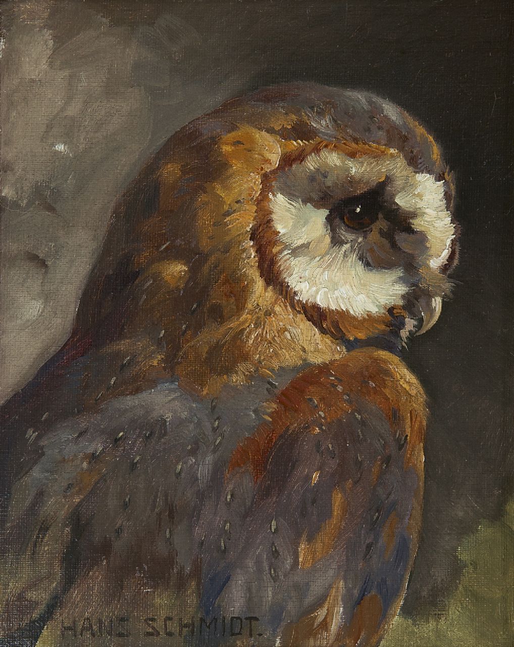 Schmidt H.  | Hans Schmidt, An owl, oil on canvas laid down on board 22.5 x 17.6 cm, signed l.l.