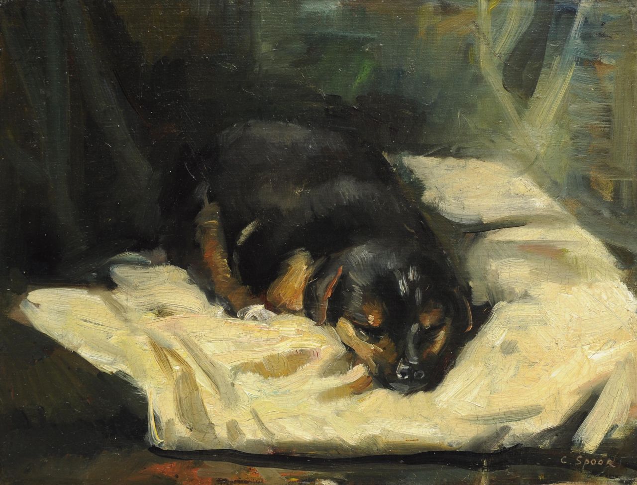 Spoor C.R.H.  | 'Cornelis' Rudolf Hendrik  Spoor, A sleeping dog, oil on canvas laid down on board 28.0 x 36.5 cm, signed l.r.