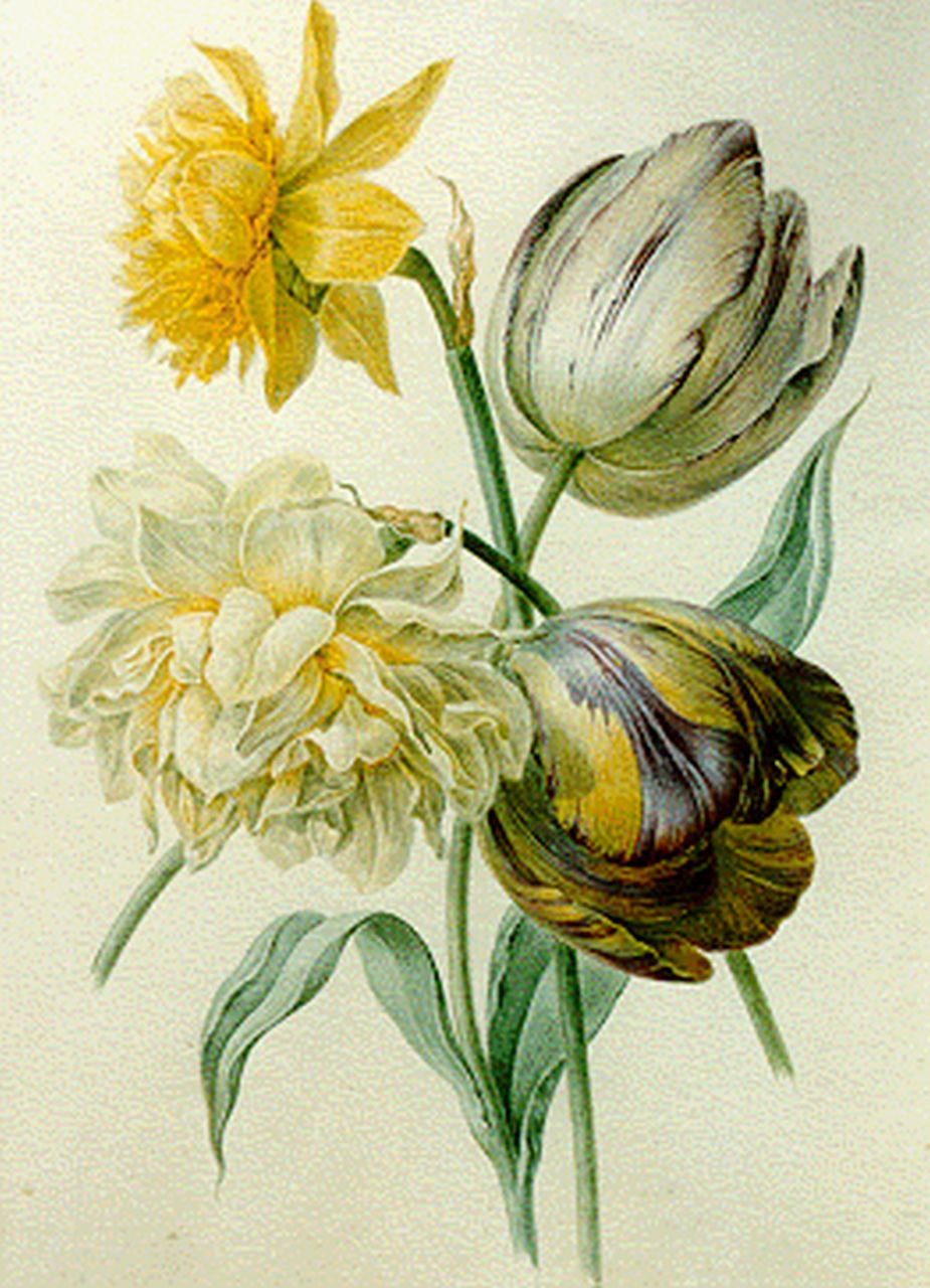 Goeje-Barbiers M.G. de | Maria Geertruida de Goeje-Barbiers, A still life with tulips and a daffodil, watercolour on paper 26.6 x 19.4 cm, signed on passe-partout and dated 1844