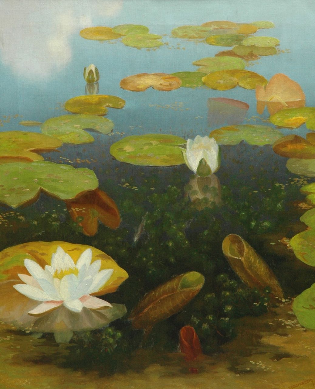 Smorenberg D.  | Dirk Smorenberg, Water lilies, oil on canvas 59.8 x 49.8 cm, signed l.r.