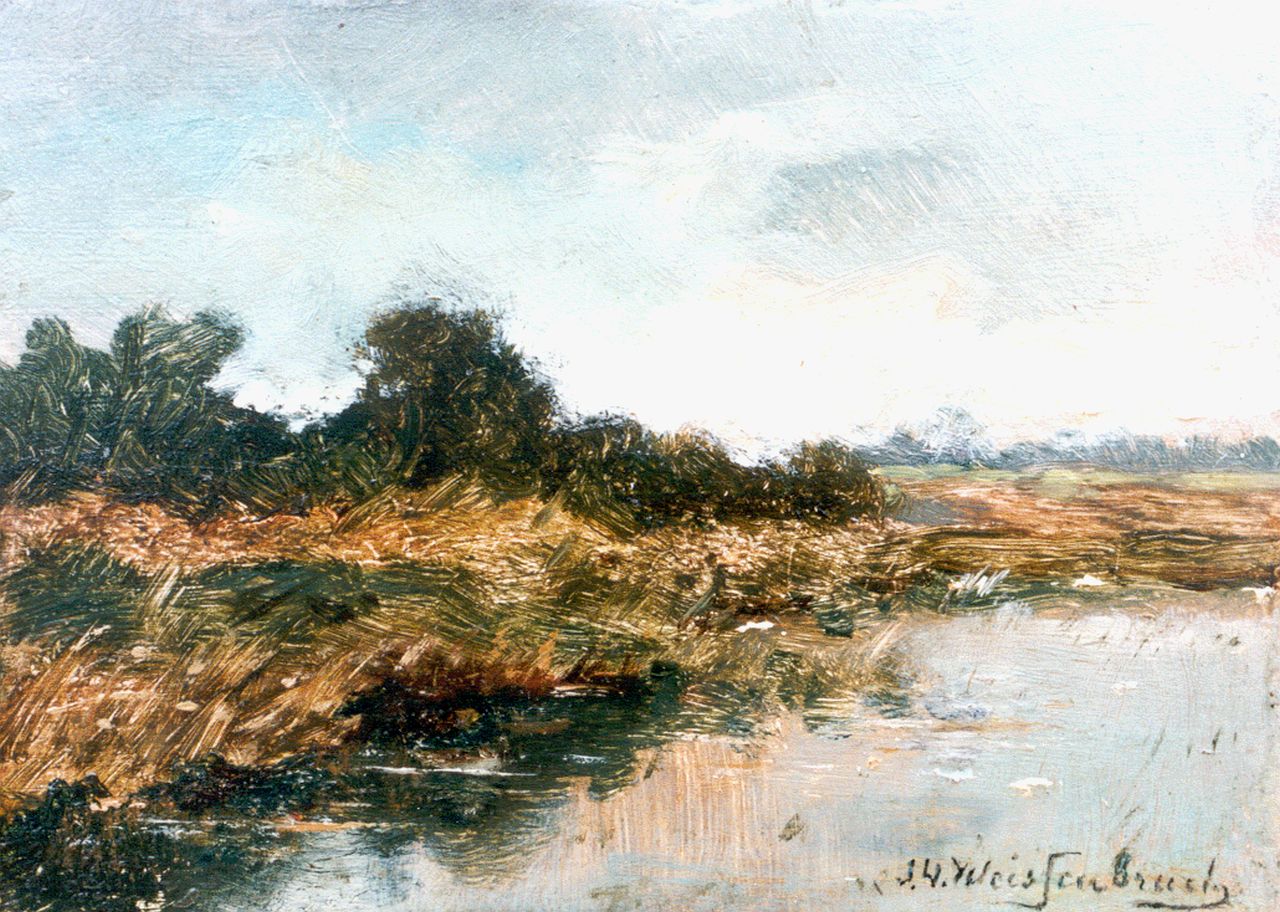 Weissenbruch H.J.  | Hendrik Johannes 'J.H.' Weissenbruch, Rietkraag langs de sloot, oil on panel 10.0 x 14.0 cm, gesigneerd rechtsonder