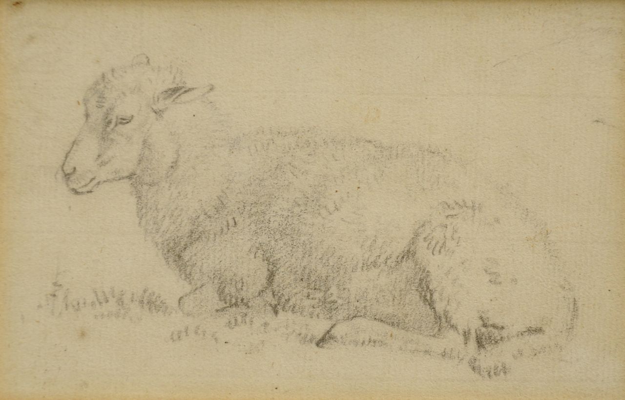 Koekkoek B.C.  | Barend Cornelis Koekkoek, Study of a lamb, chalk on paper 7.3 x 11.3 cm