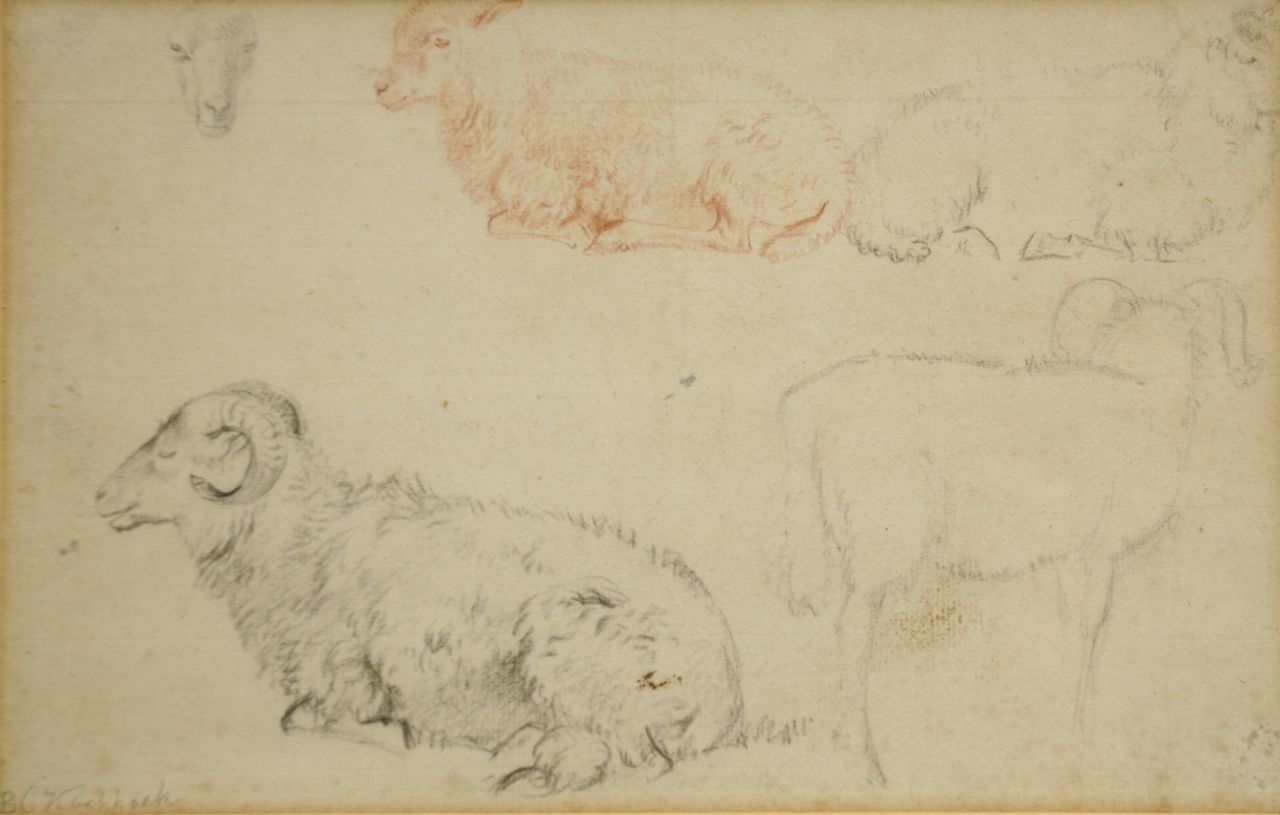 Koekkoek B.C.  | Barend Cornelis Koekkoek, Study of rams and sheep, chalk on paper 15.2 x 23.8 cm, signed l.l.
