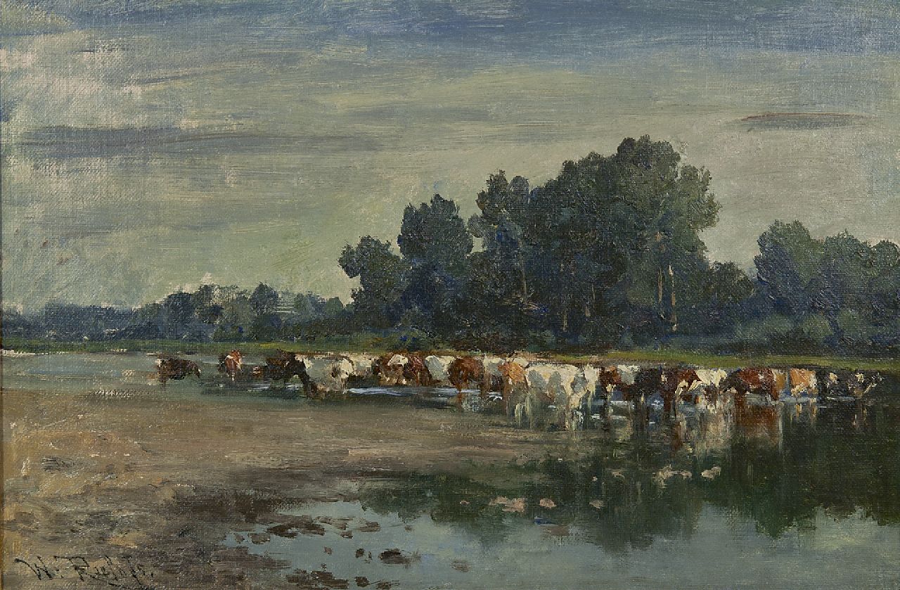 Roelofs W.  | Willem Roelofs, Cows wading, oil on canvas 30.0 x 44.8 cm, signed l.l.