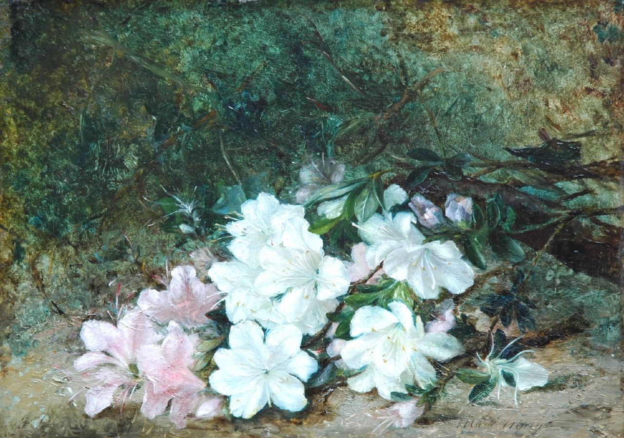 Molijn M.A.F.  | Maria Aletta Femmigje 'Marie' Molijn, Azalea branch, oil on panel 29.4 x 41.7 cm, signed l.r.