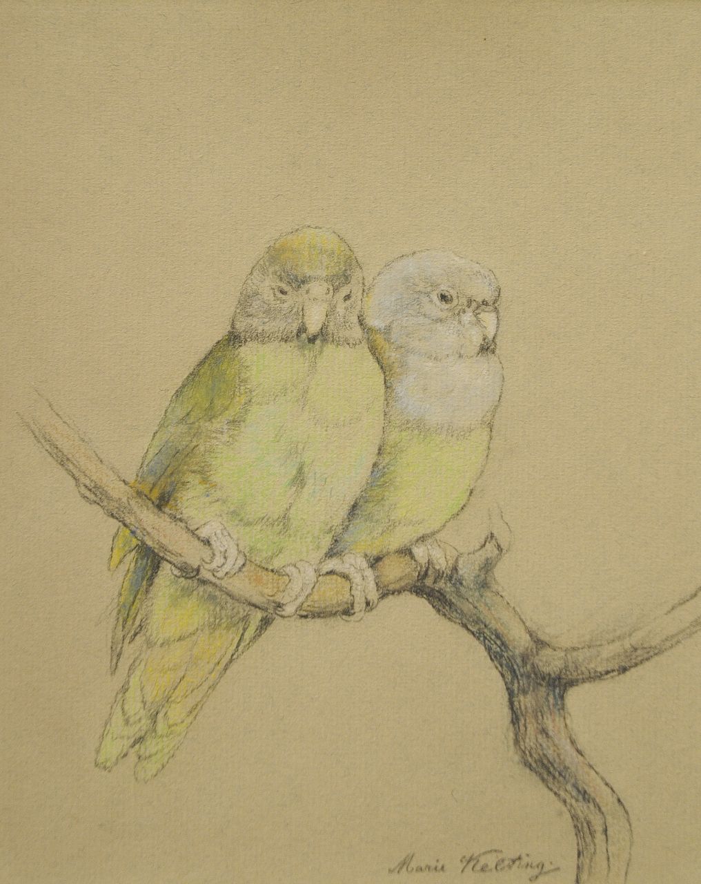 Kelting M.  | Maria 'Marie' Kelting, Green parakeets on a branch, pastel on paper 19.7 x 16.4 cm, signed l.r.