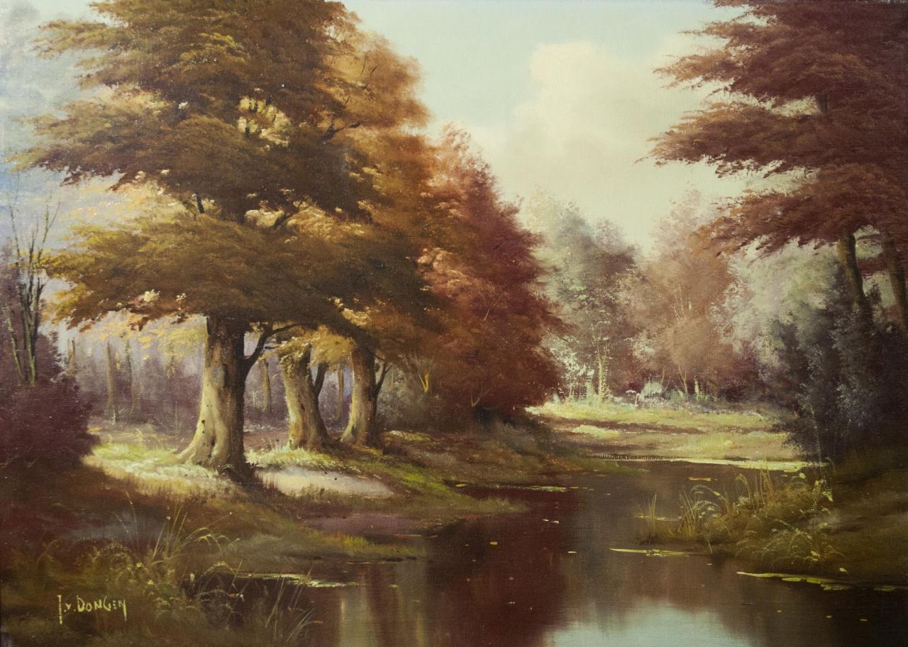 Dongen J. van | Jan van Dongen | Paintings offered for sale | Wooded landscape, oil on canvas 50.9 x 70.6 cm, signed l.l.